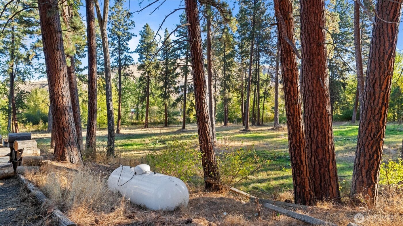 106 Wolf Ridge Lane , Dayton, WA 99328