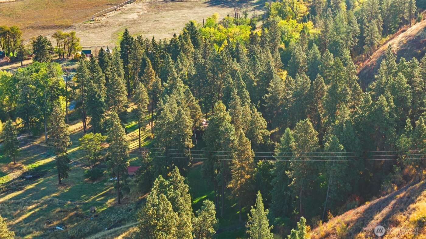 106 Wolf Ridge Lane , Dayton, WA 99328