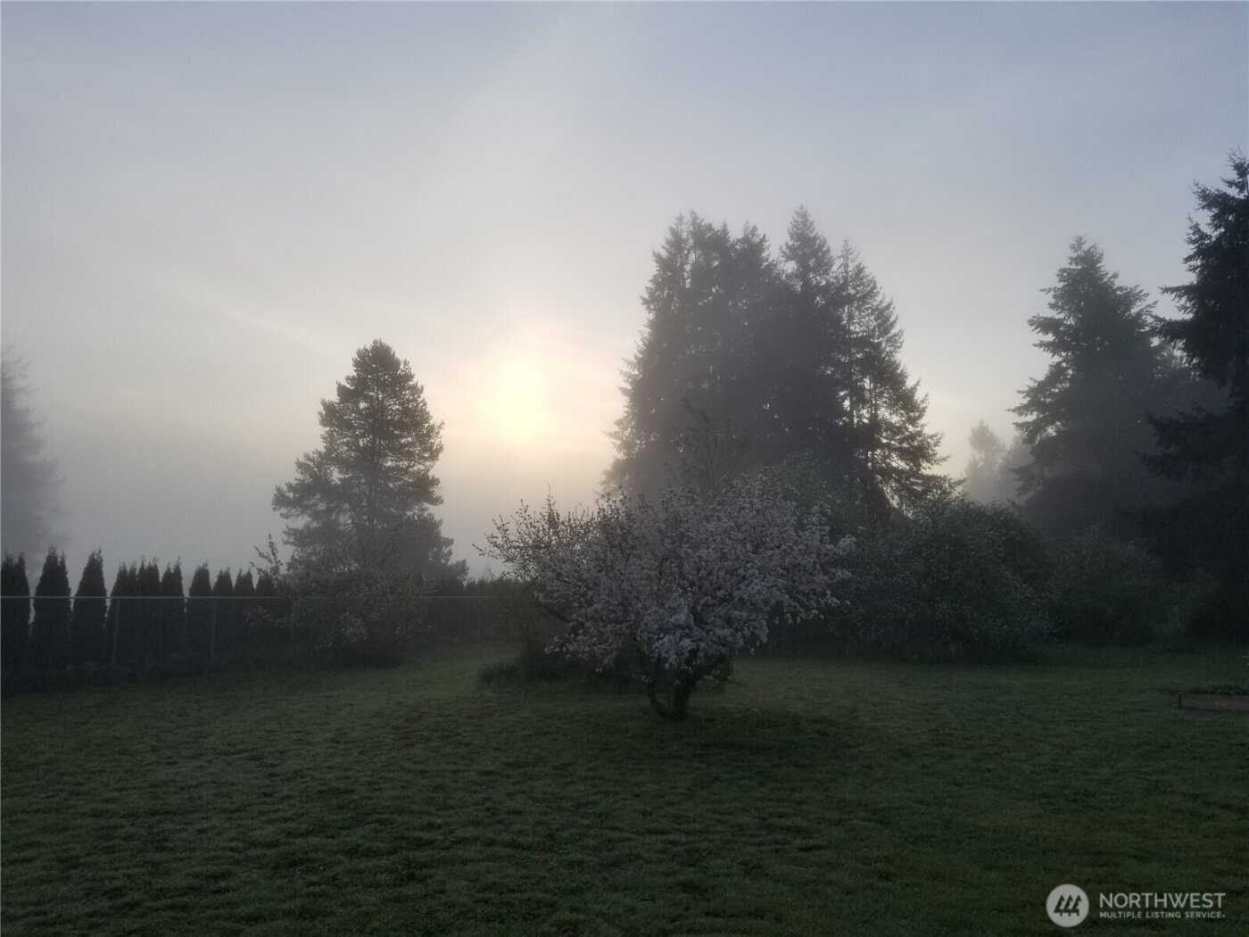 18434 Apricot Street SW, Rochester, WA 98579
