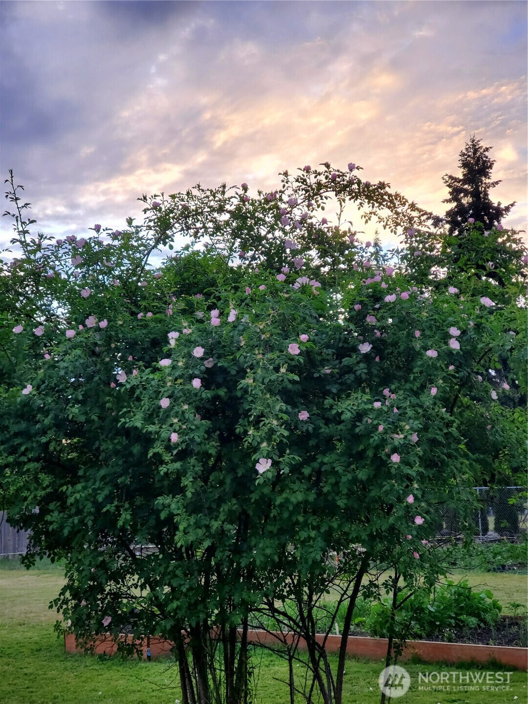 18434 Apricot Street SW, Rochester, WA 98579