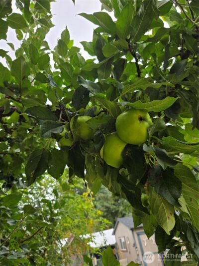 18434 Apricot Street SW, Rochester, WA 98579 - Photo 32