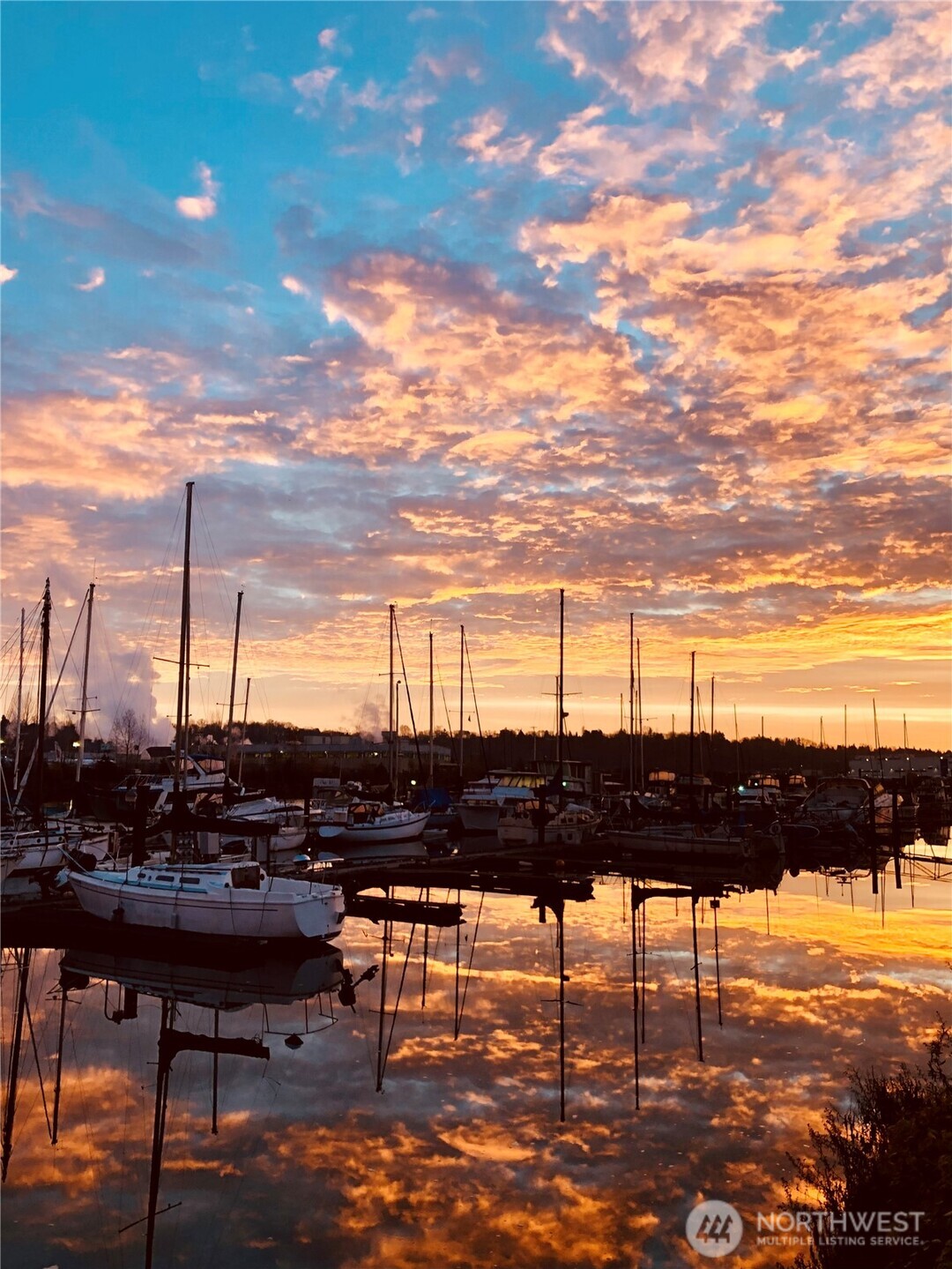 1450 S Donovan Street , Seattle, WA 98108