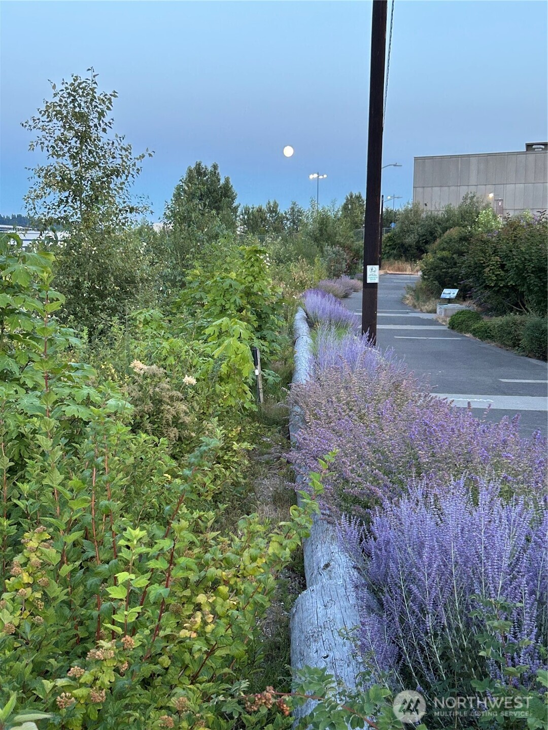 1450 S Donovan Street , Seattle, WA 98108