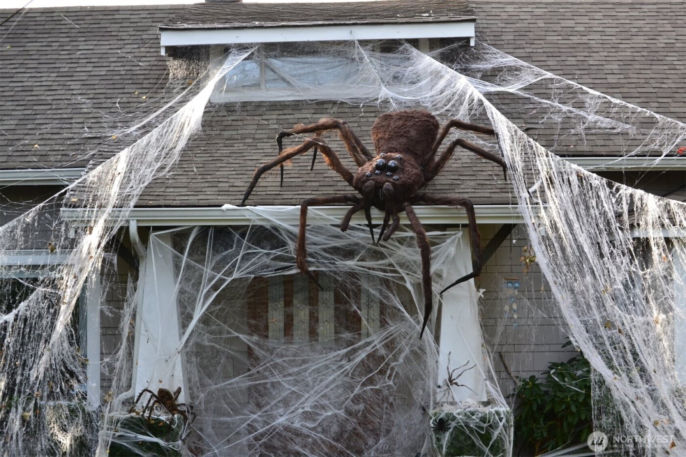 2520 Locust Avenue W, University Place, WA 98466