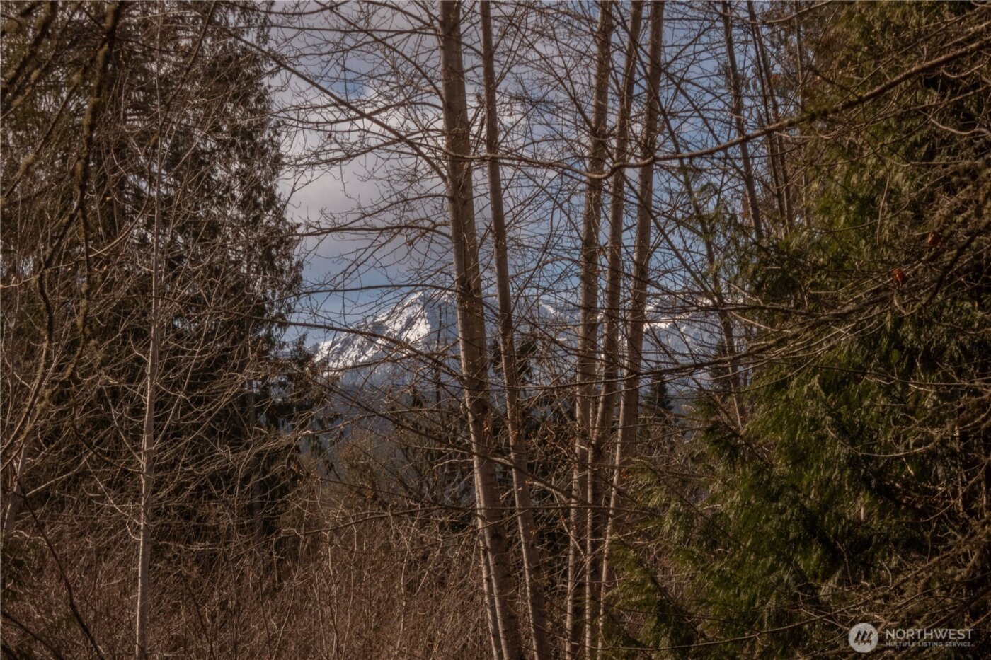 346 Dungeness Meadows , Sequim, WA 98382