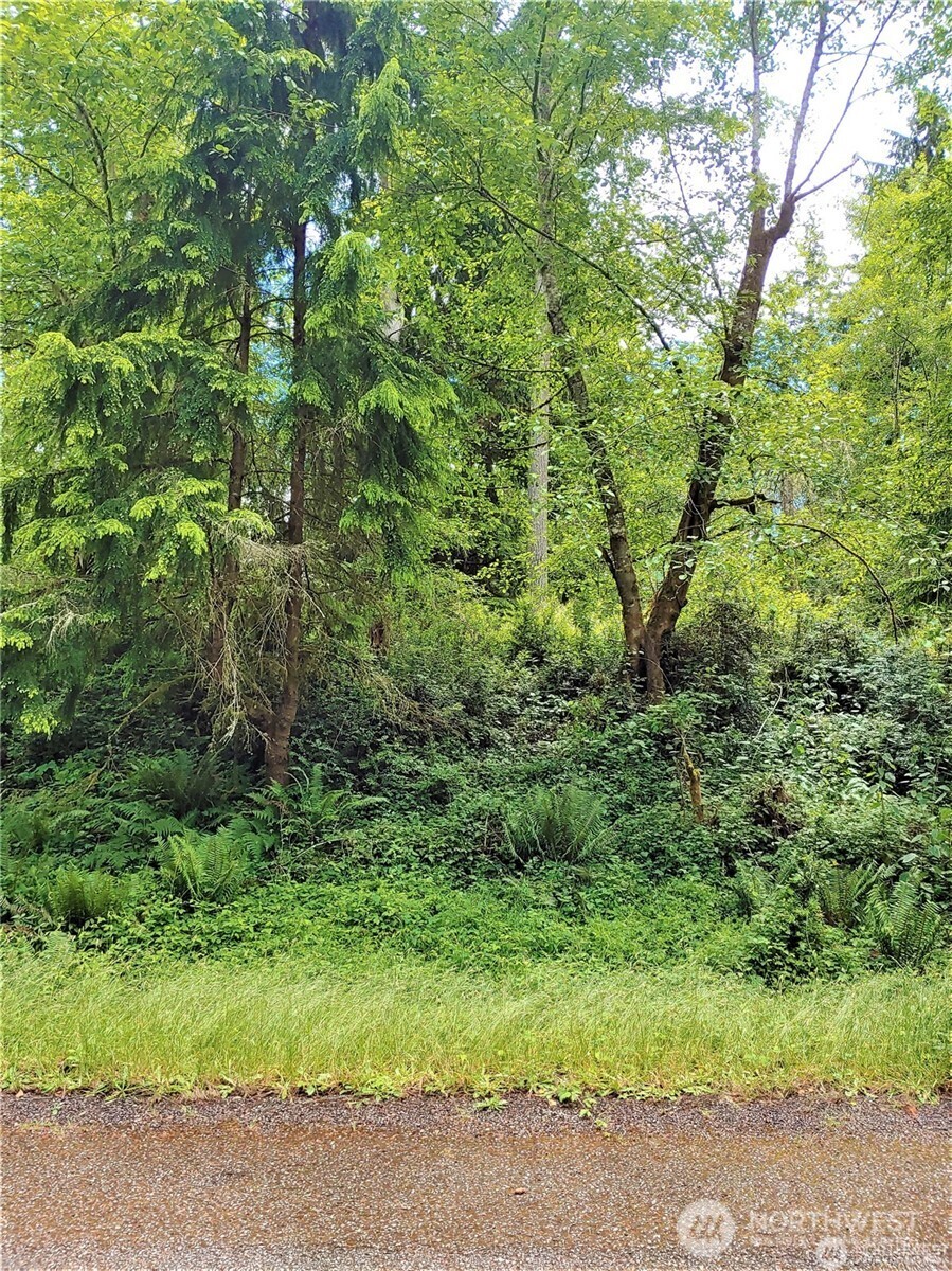 11909 11911 Country Club Drive , Anderson Island, WA 98303