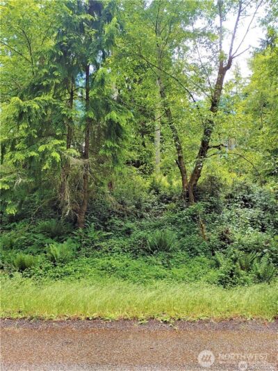 11909 11911 Country Club Drive , Anderson Island, WA 98303