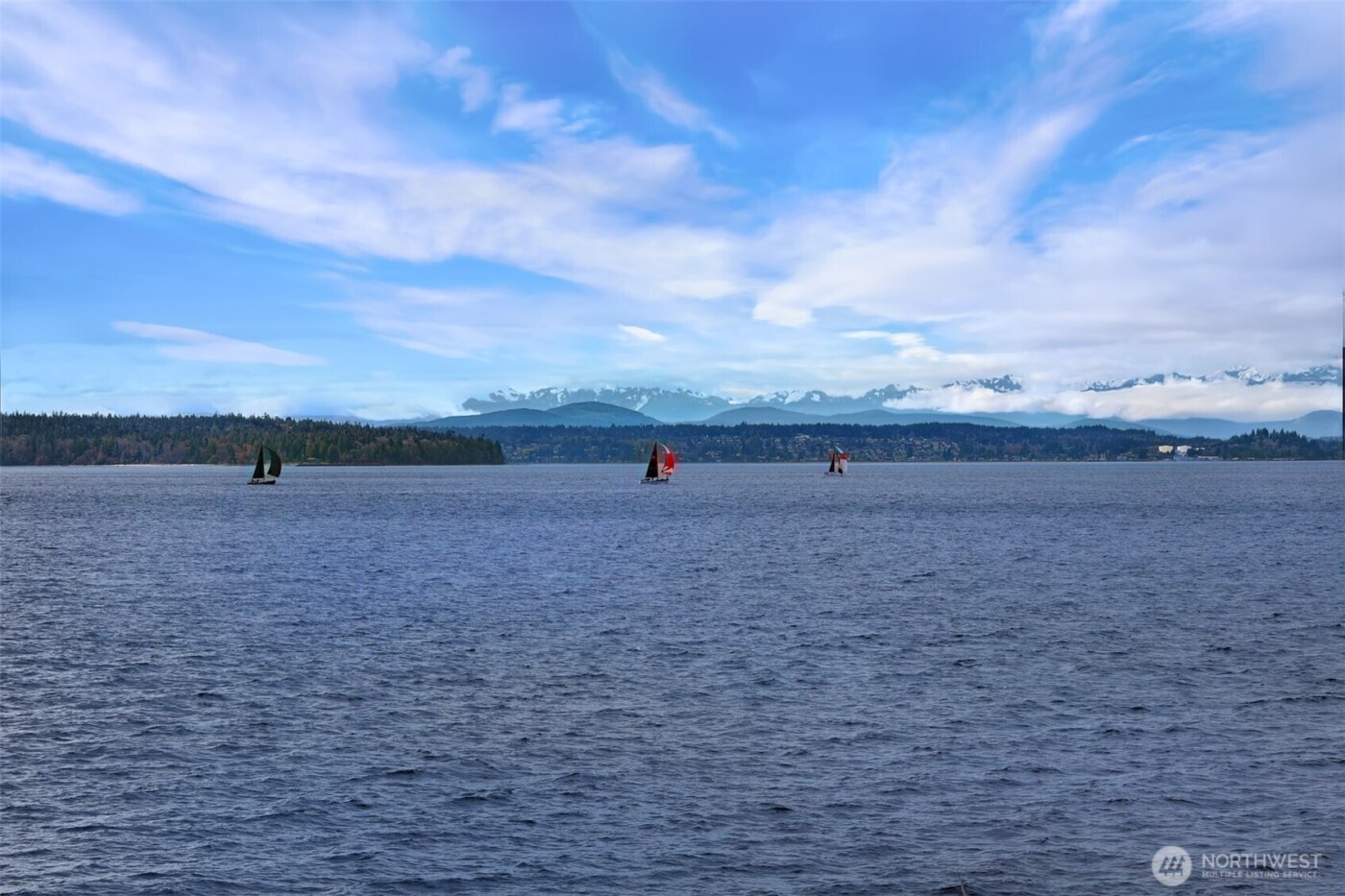 6317 Beach Drive SW, Seattle, WA 98136