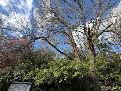 5722 35th Avenue S, Seattle, WA 98118