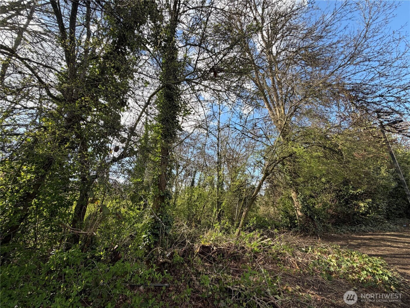 5722 35th Avenue S, Seattle, WA 98118