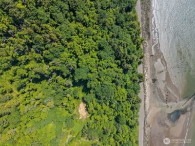 128 State Route 101 Lot 4B , Chinook, WA 98614 - Photo 5