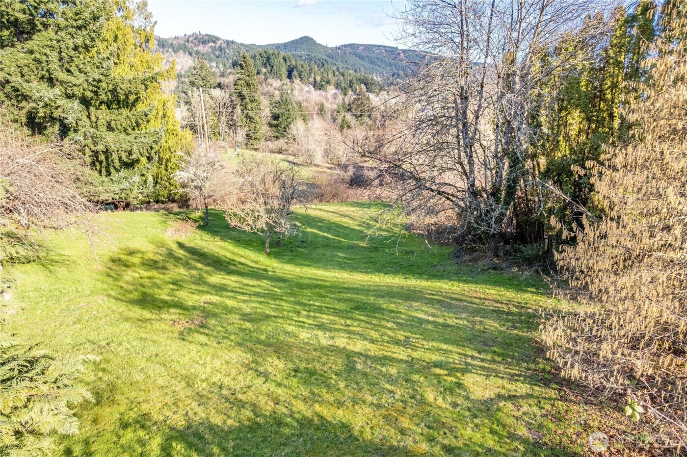 2411 Sunrise Street , Kelso, WA 98626