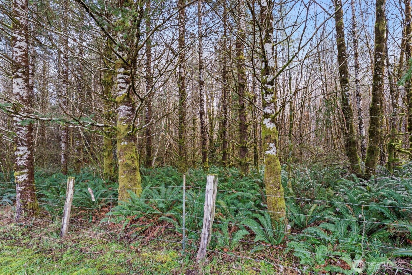 210 West Wishkah Road , Aberdeen, WA 98520