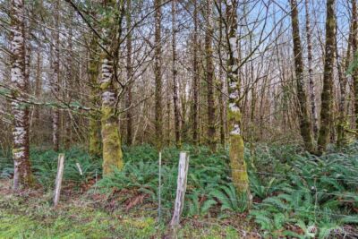 210 West Wishkah Road , Aberdeen, WA 98520 - Photo 35