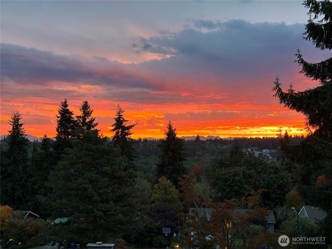 1744 127th Avenue SE, Bellevue, WA 98005