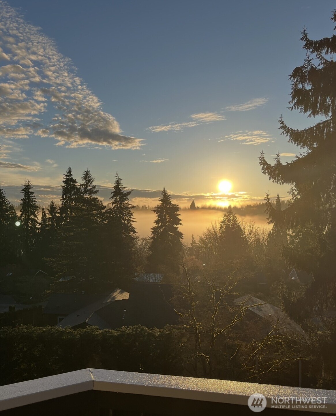 1744 127th Avenue SE, Bellevue, WA 98005