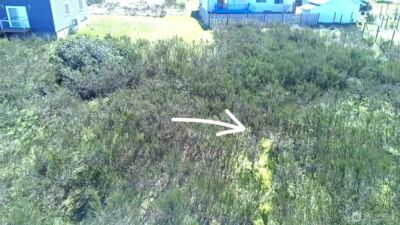 441 W Wind Street , Ocean Shores, WA 98569 - Photo 3