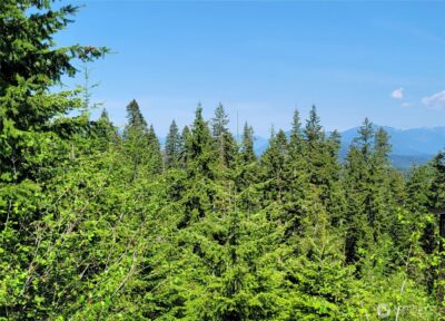 0 NKA Anders Drive , Cle Elum, WA 98922 - Photo 13