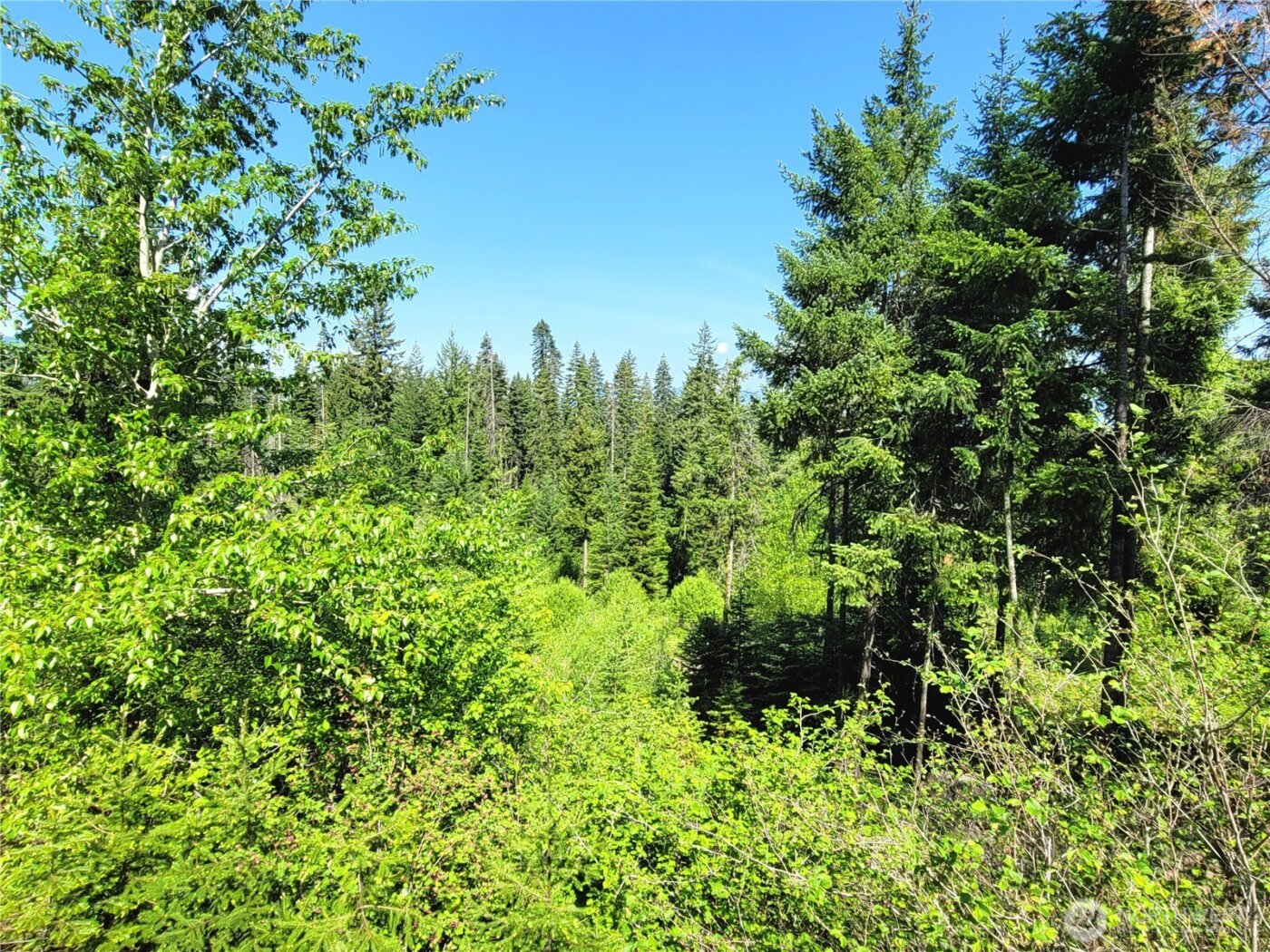 0 NKA Anders Drive , Cle Elum, WA 98922