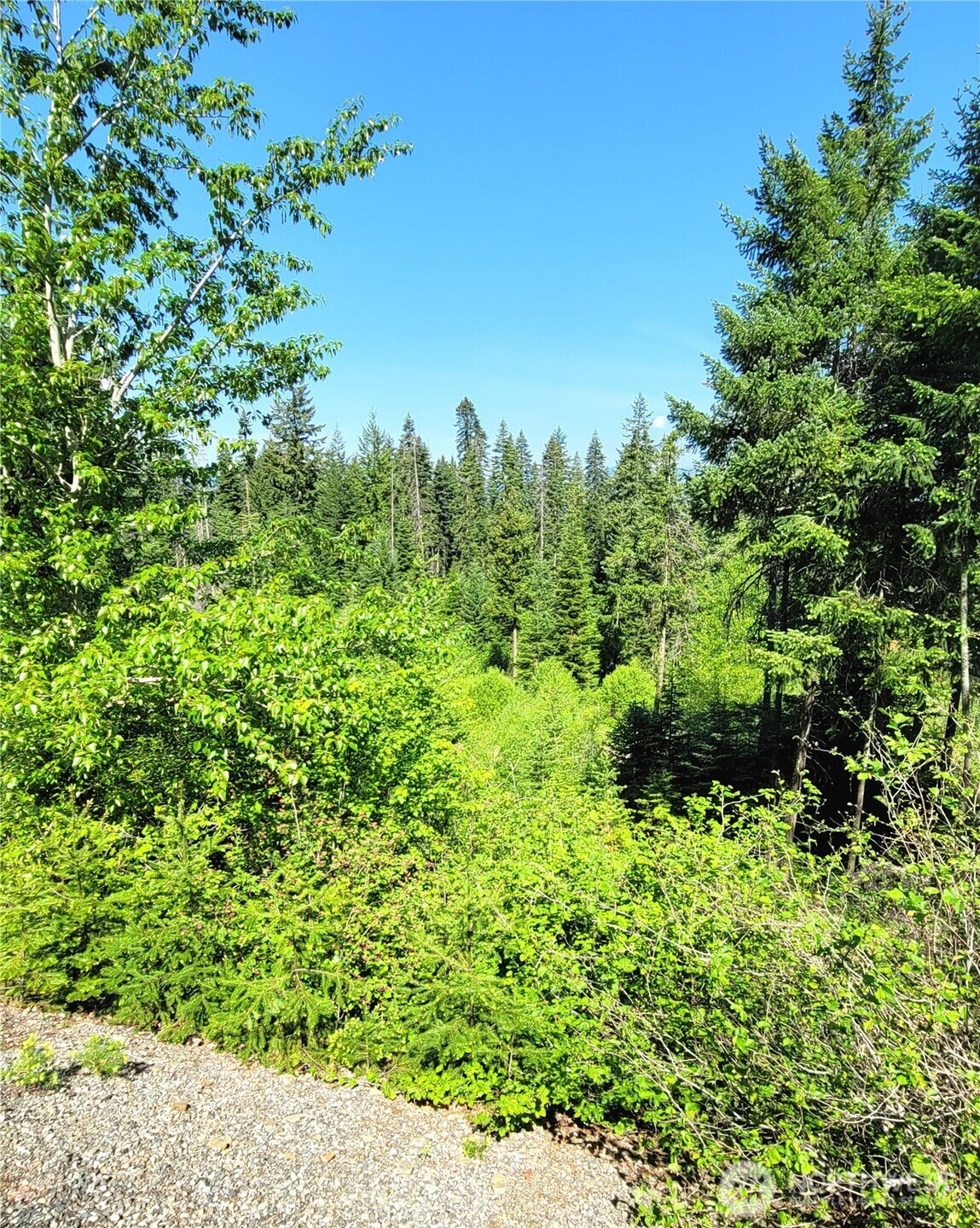 0 NKA Anders Drive , Cle Elum, WA 98922