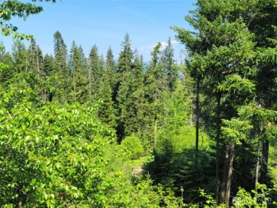 0 NKA Anders Drive , Cle Elum, WA 98922 - Photo 18