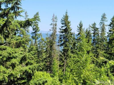 0 NKA Anders Drive , Cle Elum, WA 98922 - Photo 20