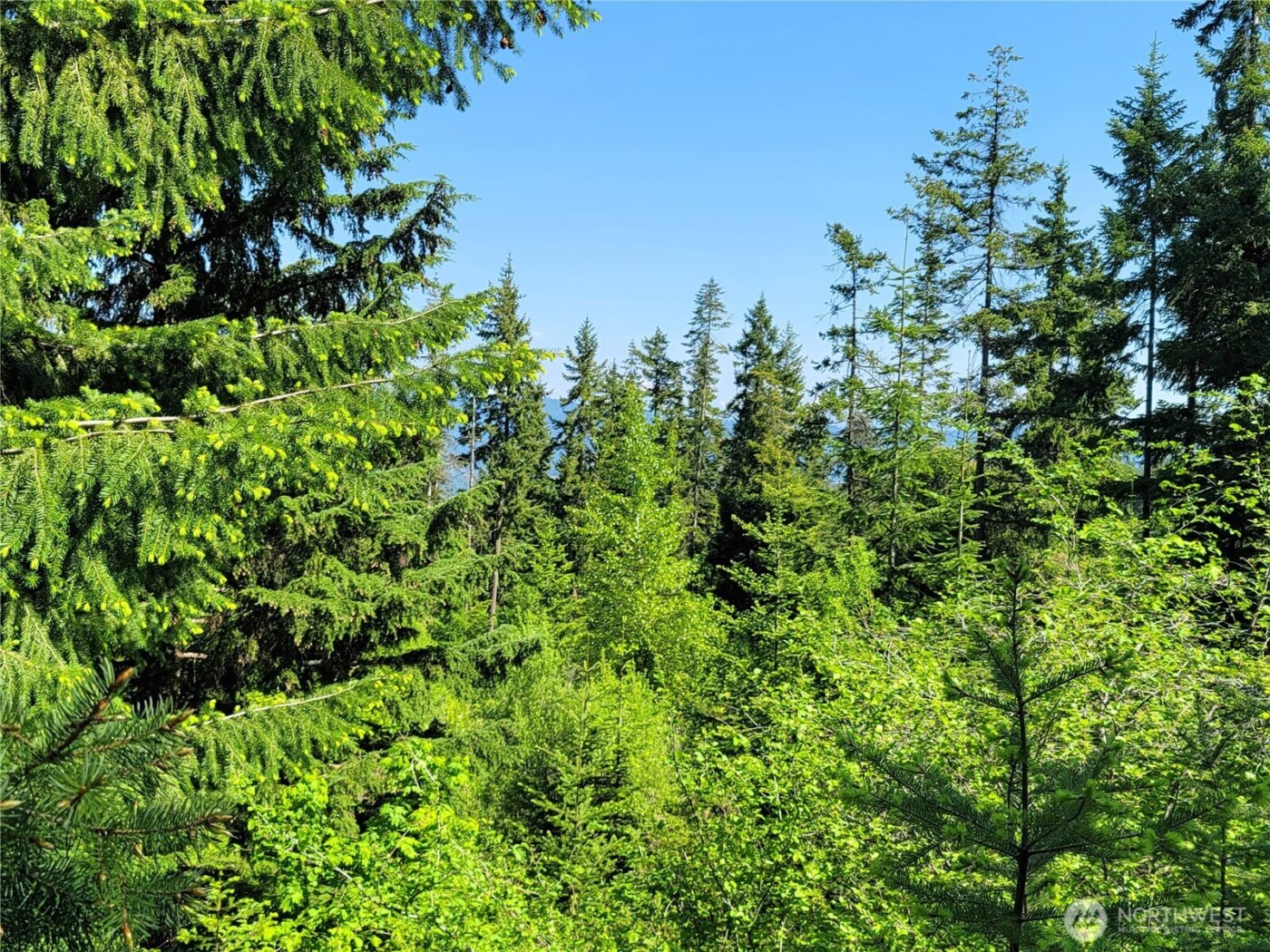 0 NKA Anders Drive , Cle Elum, WA 98922