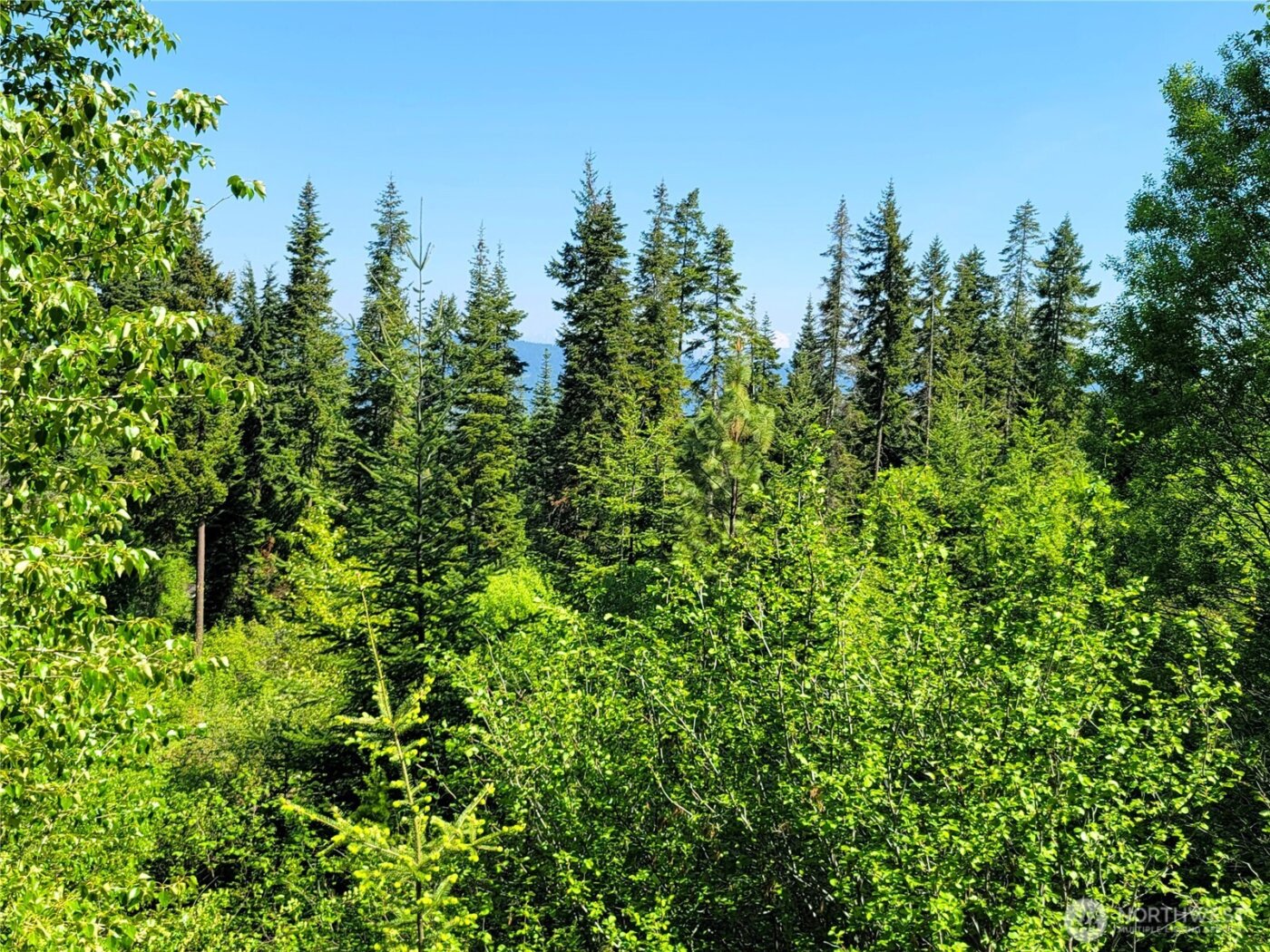 0 NKA Anders Drive , Cle Elum, WA 98922