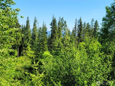 0 NKA Anders Drive , Cle Elum, WA 98922 - Photo 24