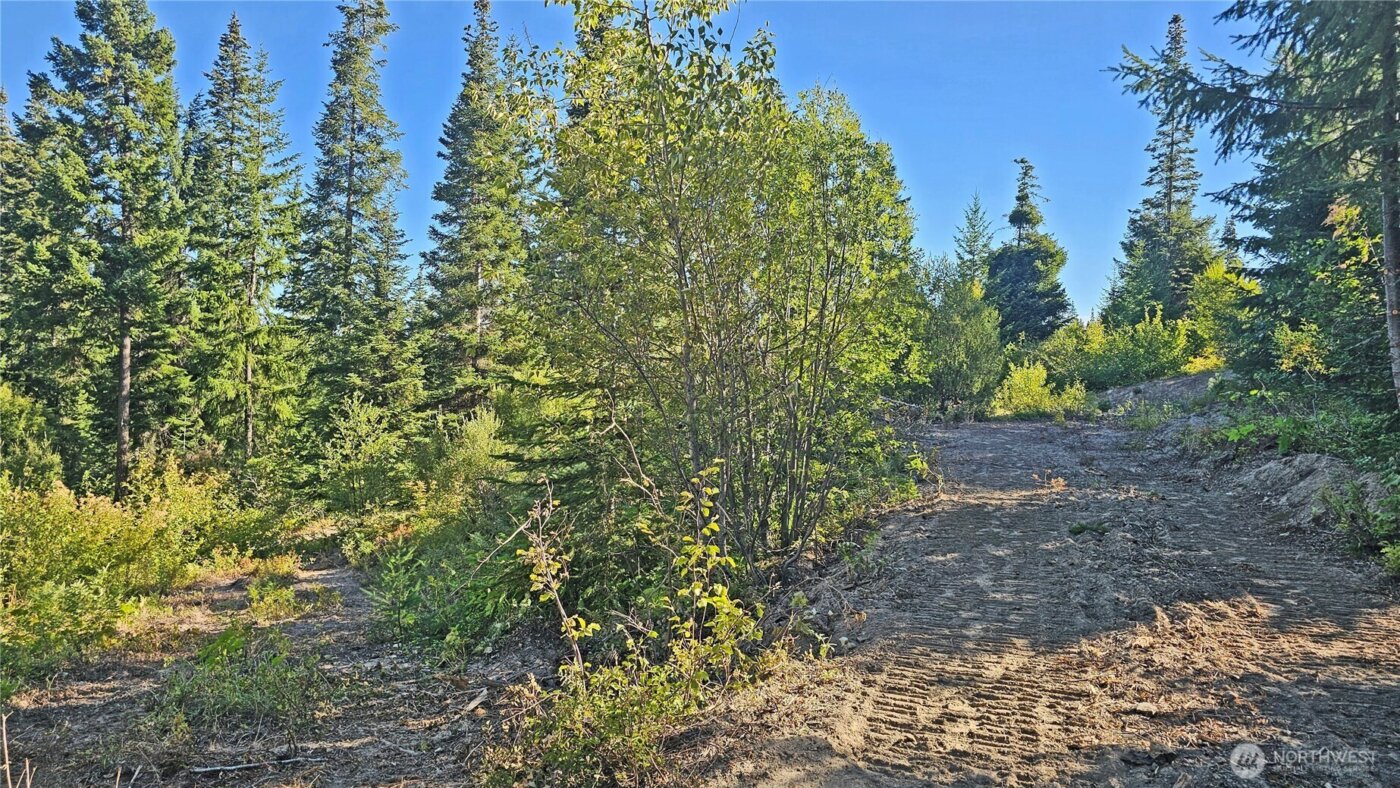 0 NKA Anders Drive , Cle Elum, WA 98922