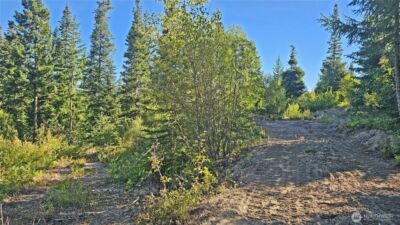 0 NKA Anders Drive , Cle Elum, WA 98922 - Photo 34
