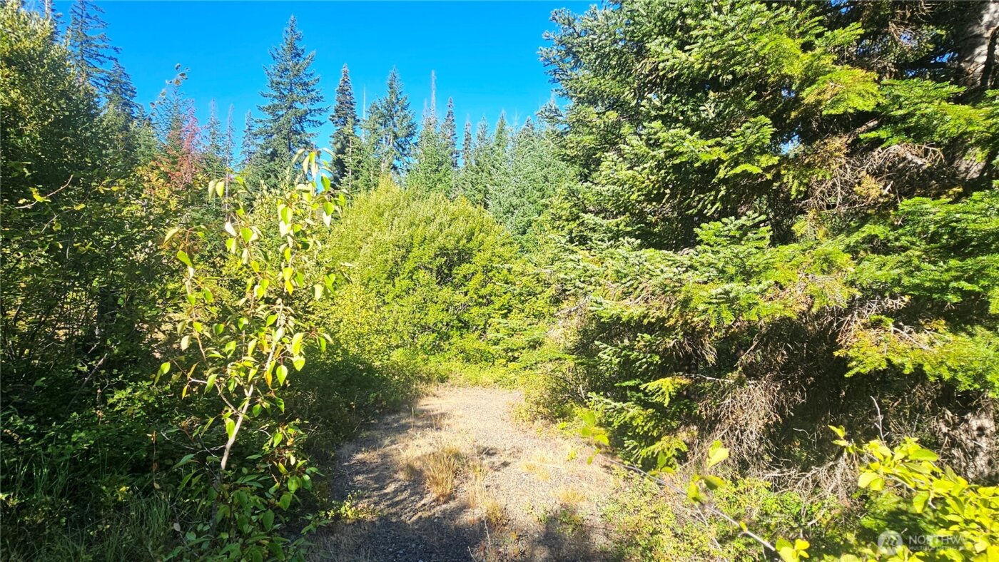 0 NKA Anders Drive , Cle Elum, WA 98922