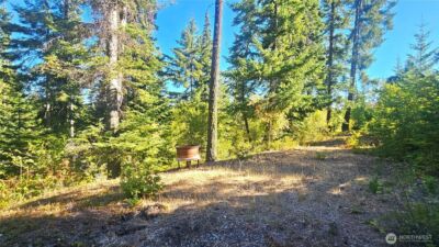 0 NKA Anders Drive , Cle Elum, WA 98922 - Photo 39