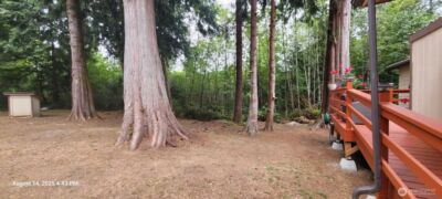 222 Delezenne Road , Elma, WA 98541 - Photo 22