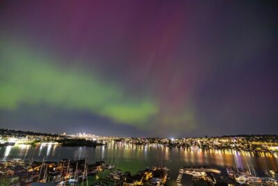 2420 8th Avenue N #201, Seattle, WA 98109 - Photo 29