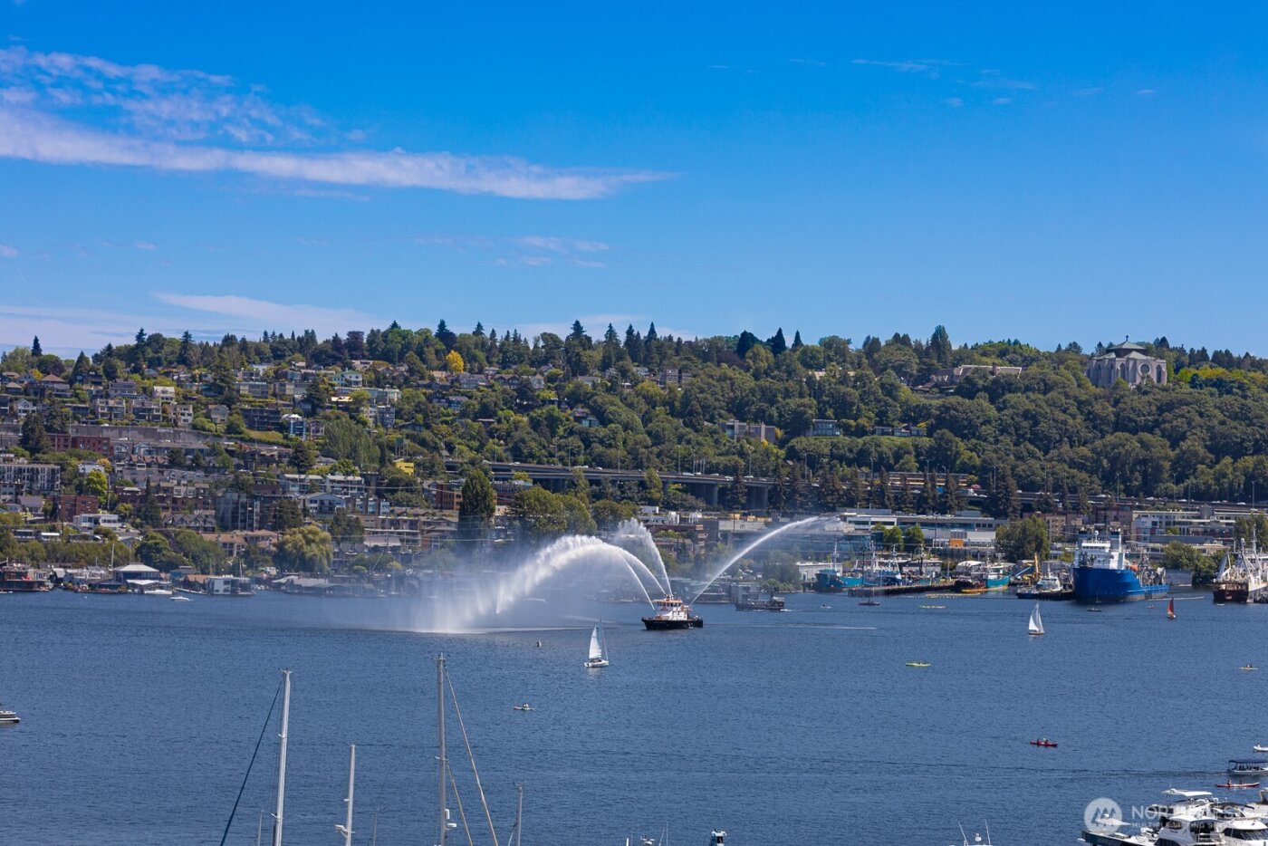 2420 8th Avenue N #201, Seattle, WA 98109