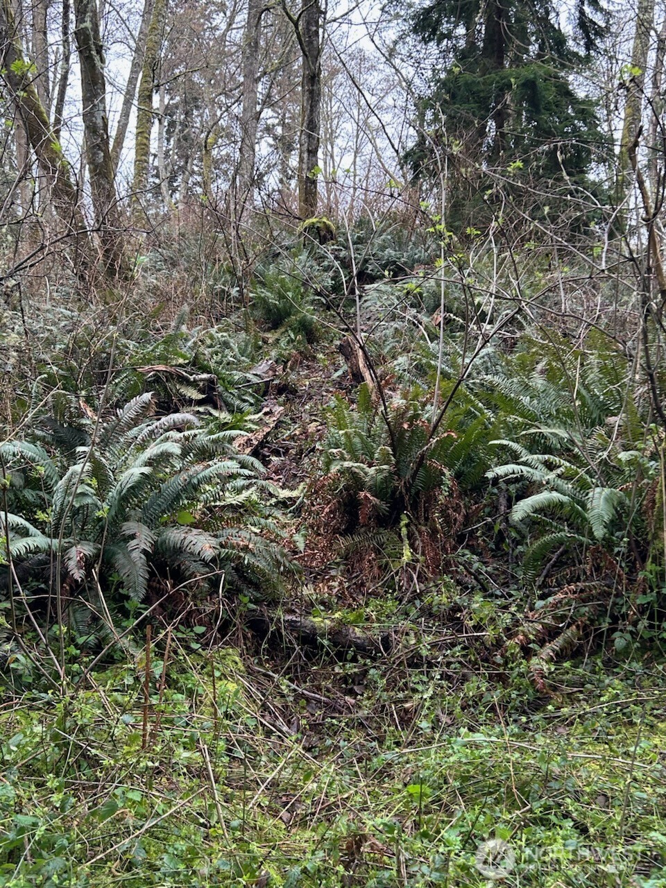 0 Ewing , Clinton, WA 98236