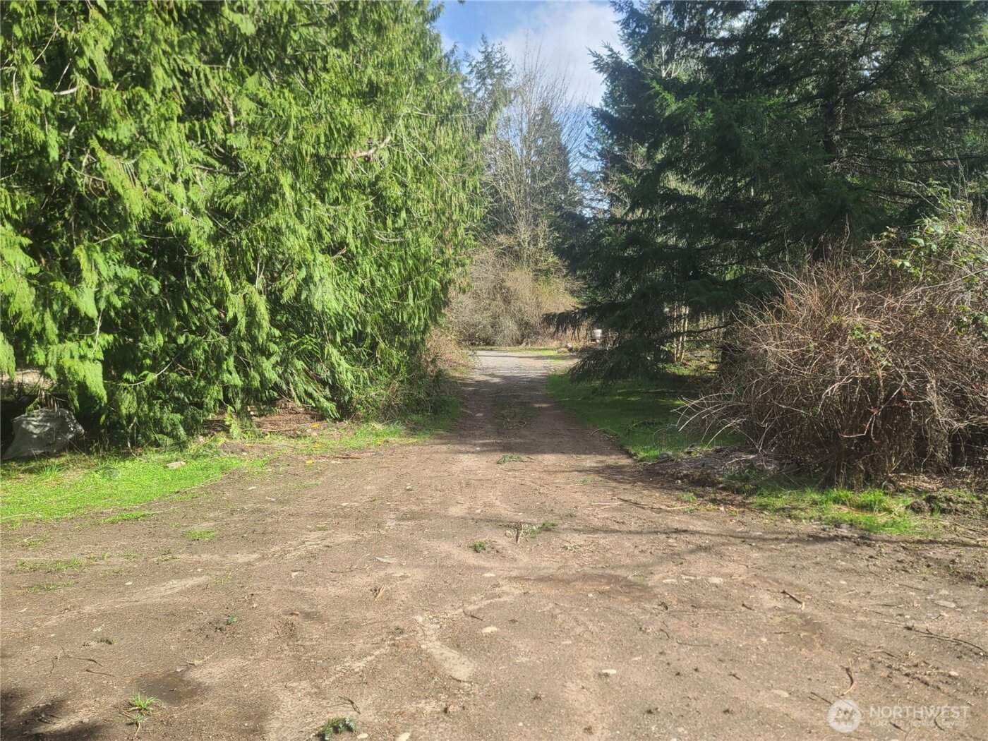 35618 16th Avenue Ct S, Roy, WA 98580