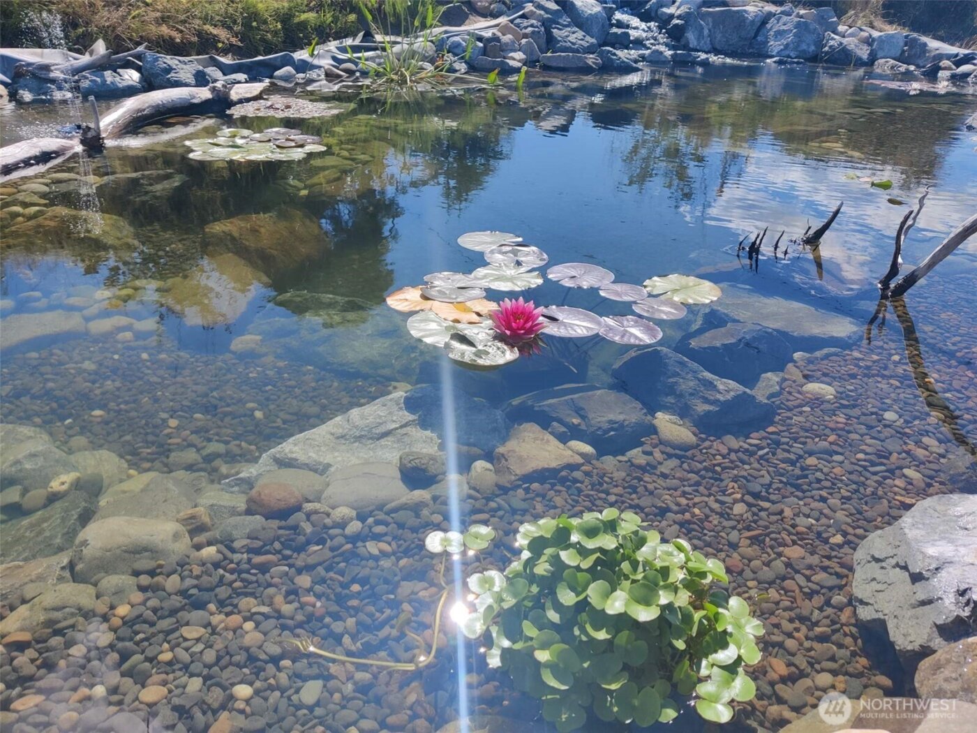 8017 64th Street SE, Snohomish, WA 98290