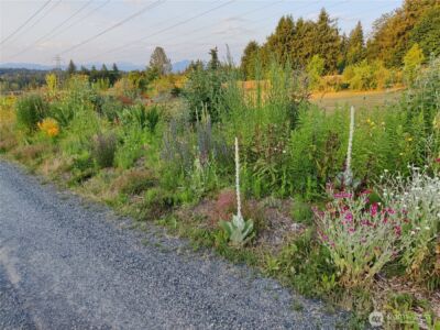 8017 64th Street SE, Snohomish, WA 98290 - Photo 37