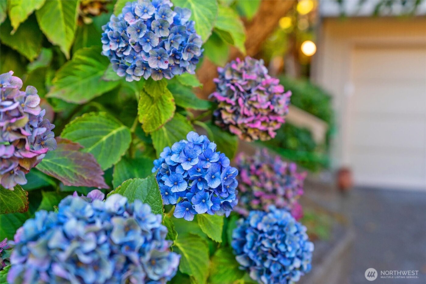 1928 Dumas Circle NE, Tacoma, WA 98422