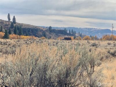1 RD 20 (PEACH RD) NW, Mansfield, WA 98830 - Photo 3