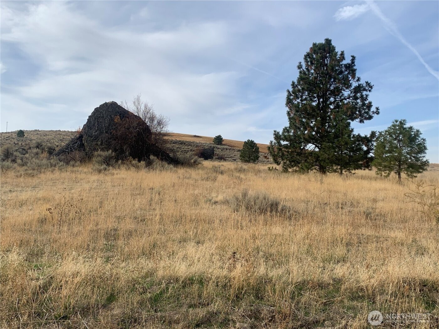 1 RD 20 (PEACH RD) NW, Mansfield, WA 98830