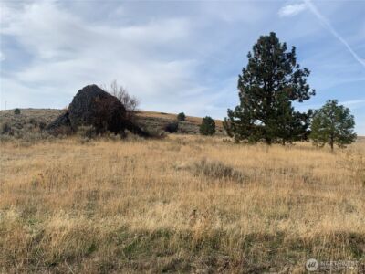 1 RD 20 (PEACH RD) NW, Mansfield, WA 98830 - Photo 9