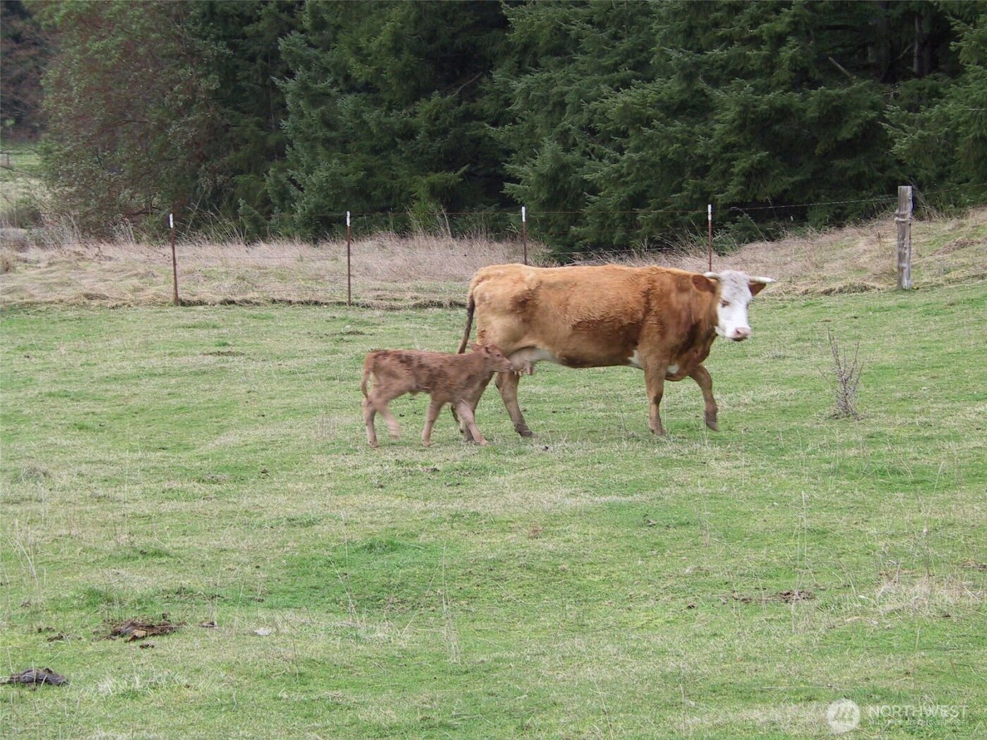 6255 Turkey Hill Road , Clinton, WA 98236