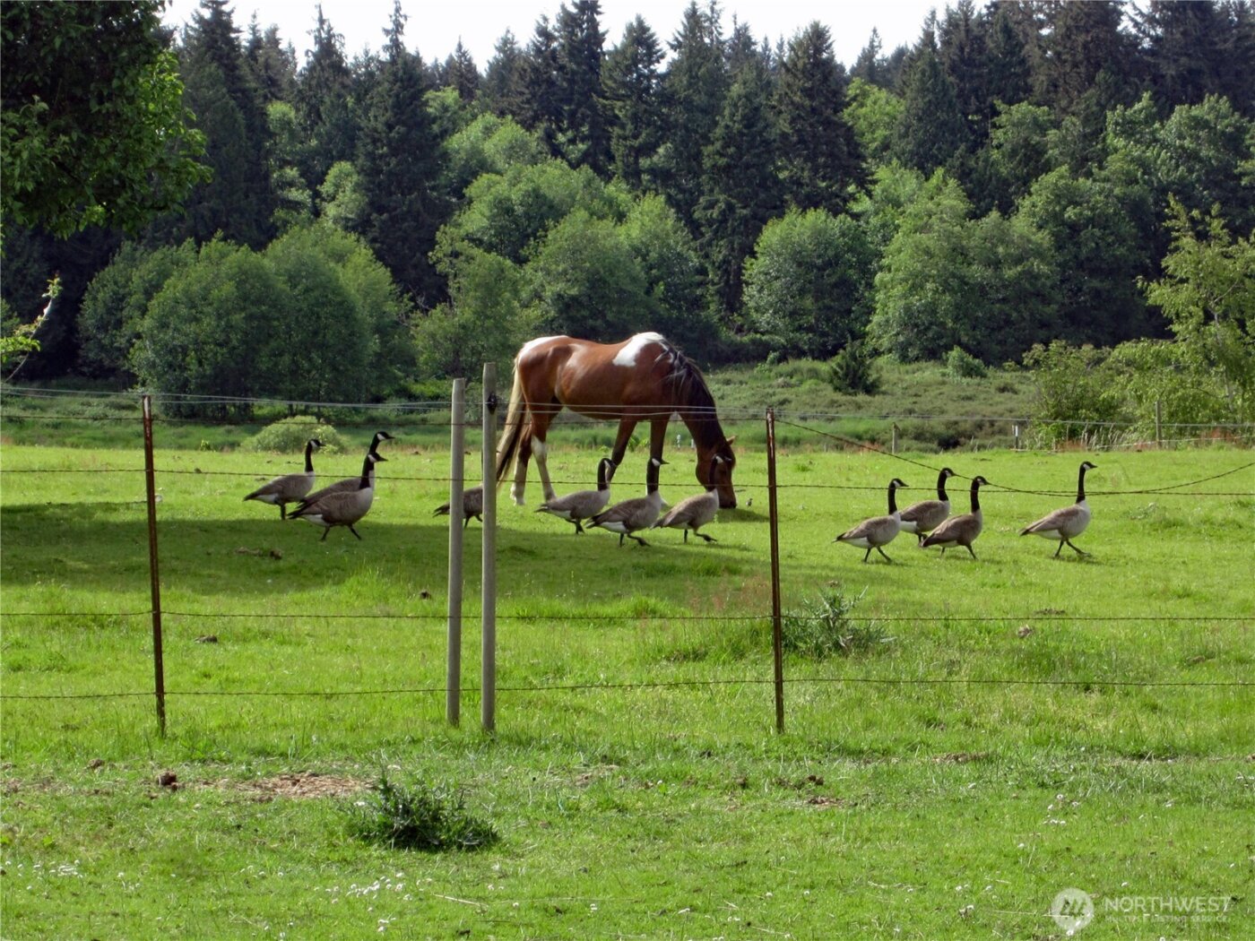 6255 Turkey Hill Road , Clinton, WA 98236