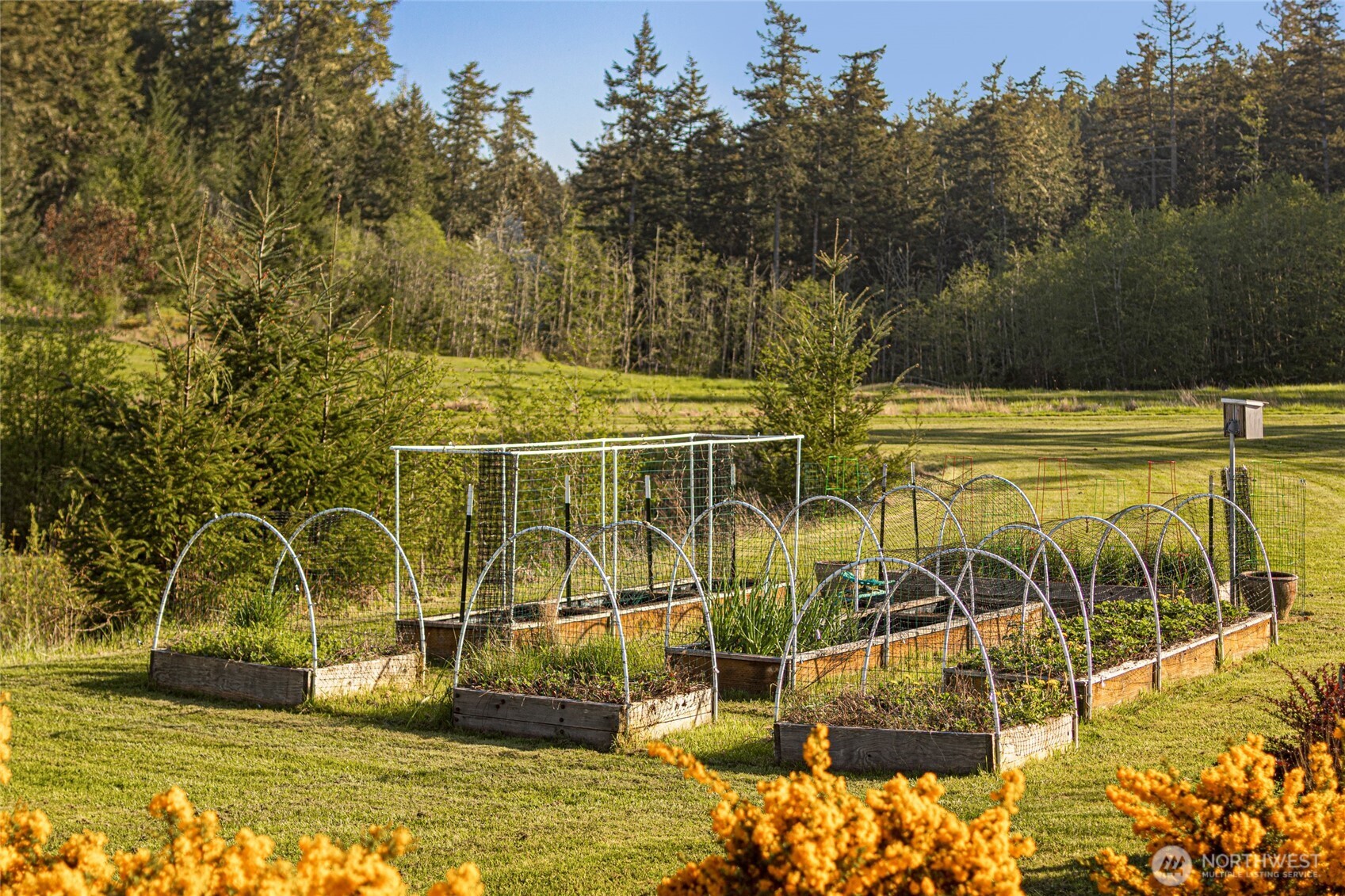 437 Woodpecker Lane , Friday Harbor, WA 98250