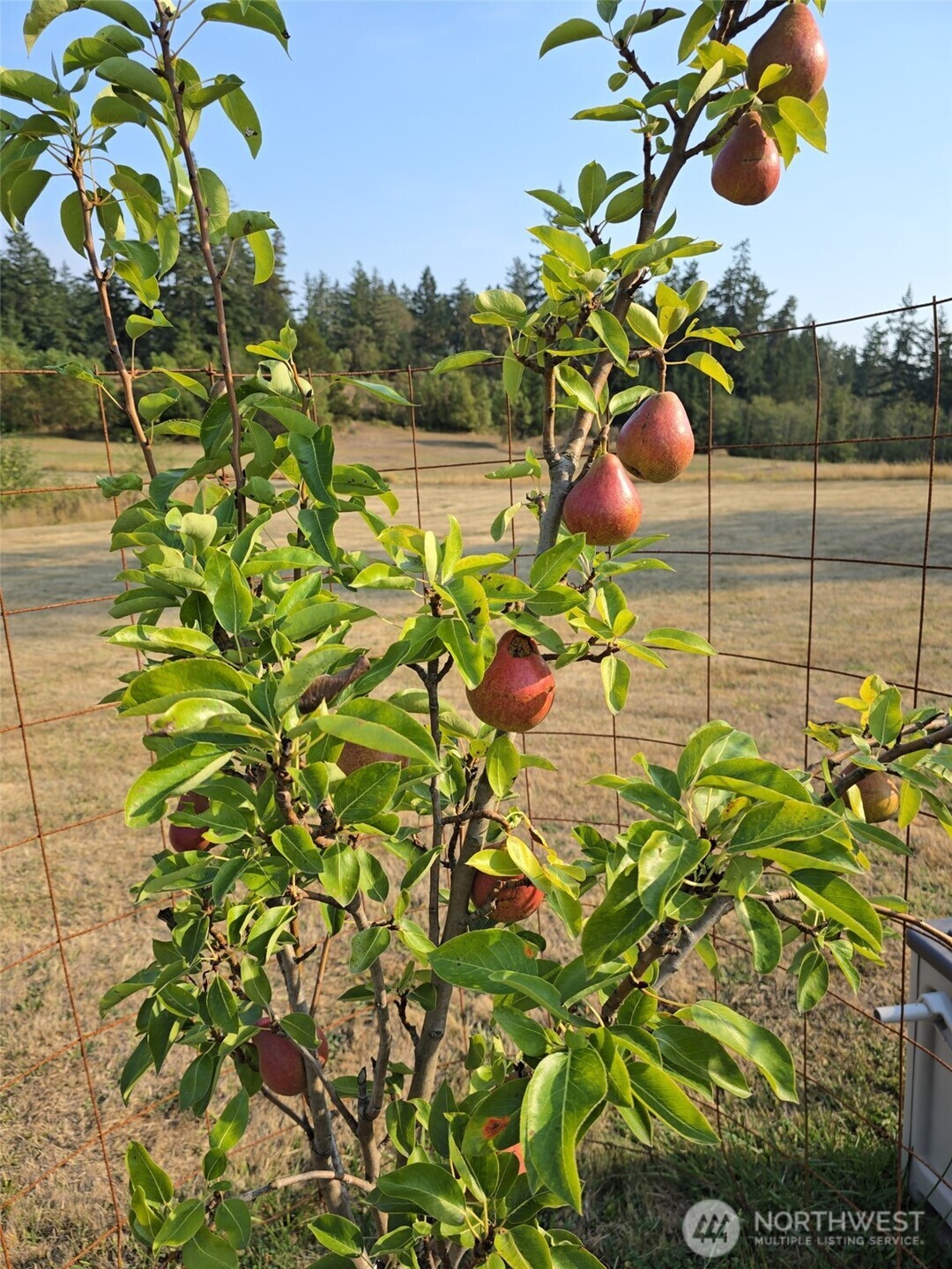437 Woodpecker Lane , Friday Harbor, WA 98250