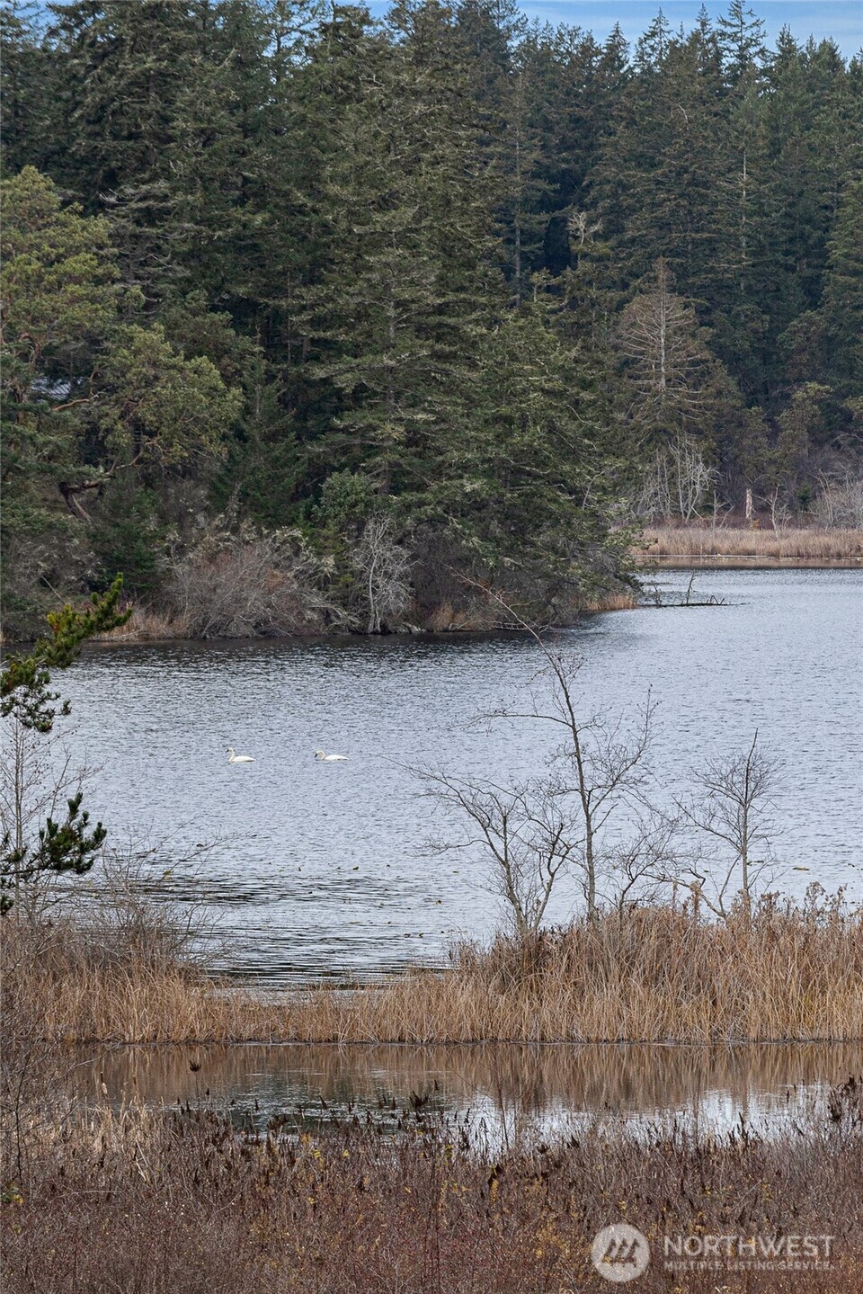 437 Woodpecker Lane , Friday Harbor, WA 98250