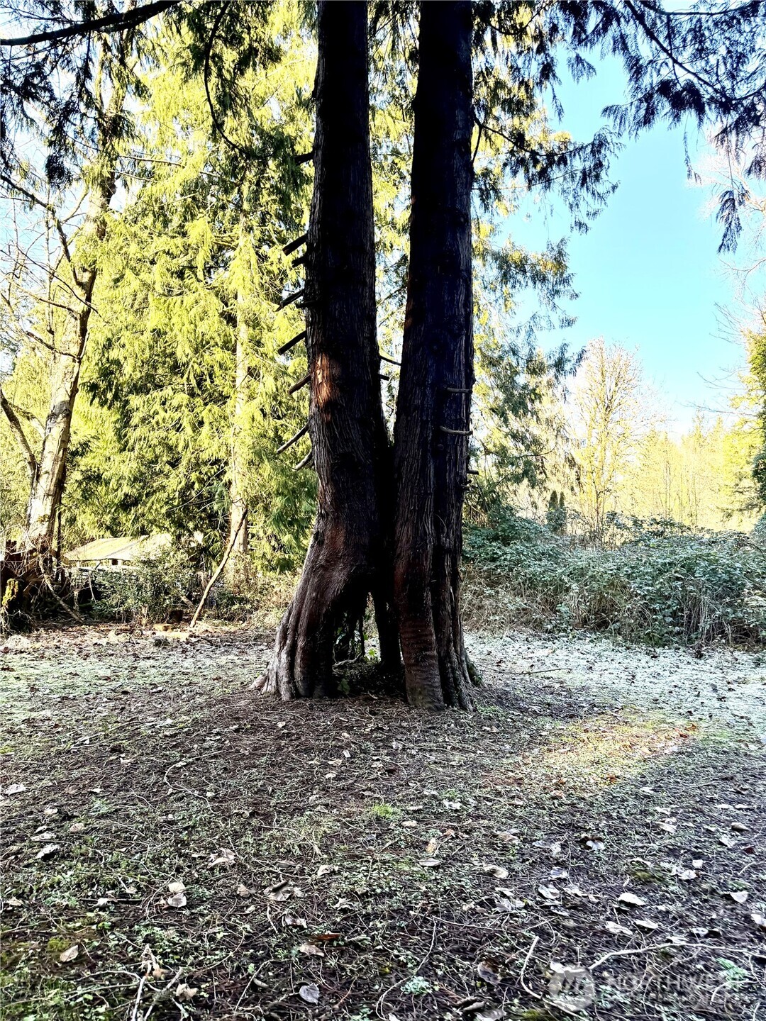 41671 Mountain View Lane , Concrete, WA 98237